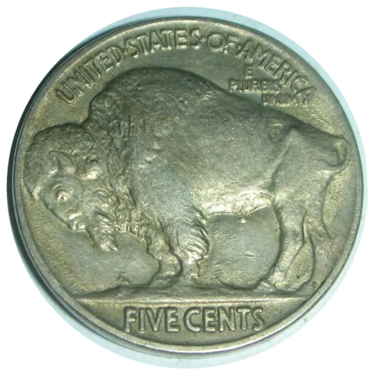 1917-5c-Buffalo-Nickel-#3